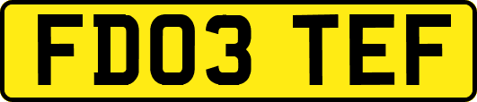 FD03TEF