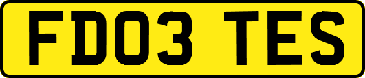 FD03TES
