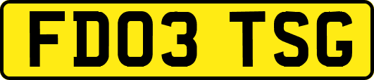 FD03TSG