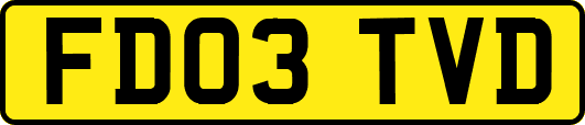 FD03TVD