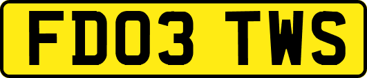 FD03TWS