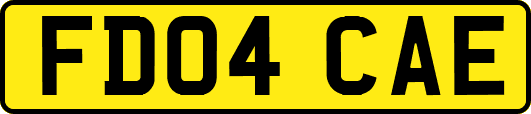 FD04CAE