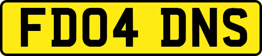 FD04DNS