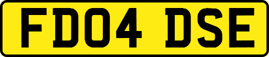 FD04DSE