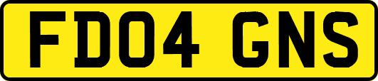 FD04GNS