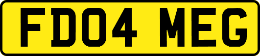 FD04MEG