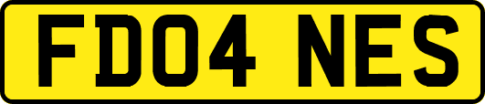FD04NES