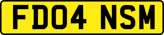 FD04NSM
