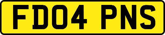 FD04PNS