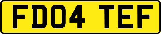 FD04TEF