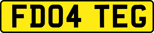 FD04TEG