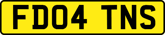 FD04TNS