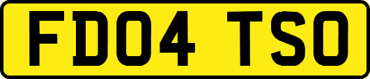 FD04TSO