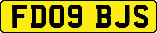 FD09BJS
