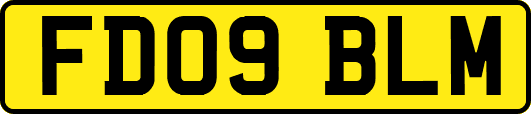 FD09BLM