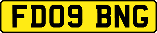 FD09BNG