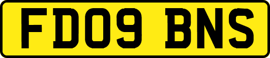 FD09BNS