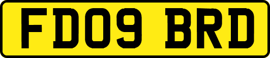 FD09BRD