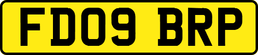 FD09BRP