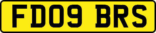 FD09BRS