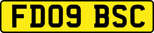 FD09BSC