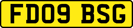 FD09BSG
