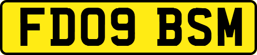 FD09BSM
