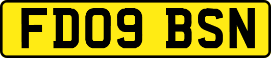 FD09BSN