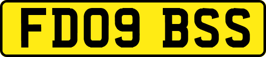 FD09BSS