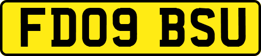 FD09BSU