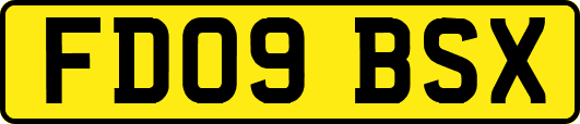 FD09BSX