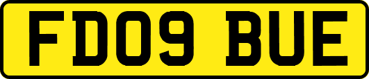 FD09BUE