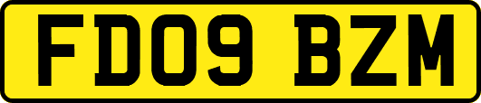 FD09BZM