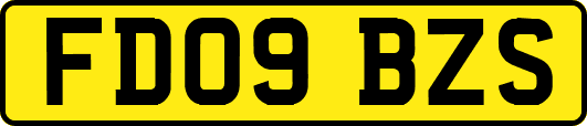 FD09BZS