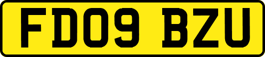 FD09BZU