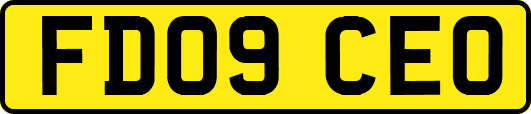 FD09CEO