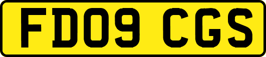 FD09CGS