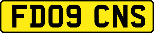 FD09CNS