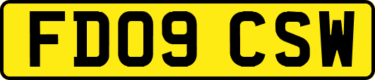 FD09CSW