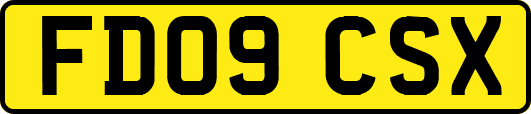 FD09CSX