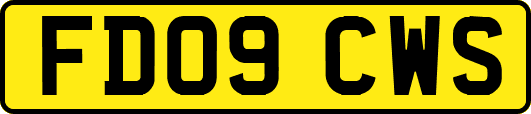 FD09CWS