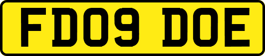 FD09DOE