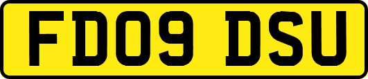 FD09DSU