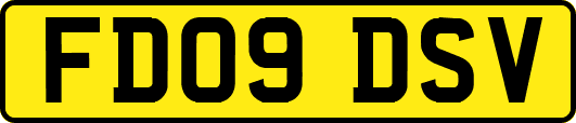 FD09DSV