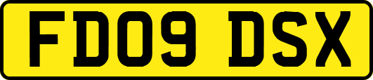 FD09DSX