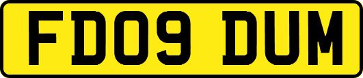 FD09DUM