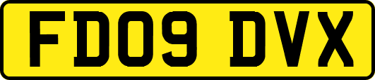 FD09DVX