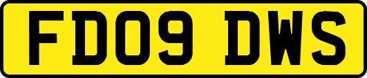 FD09DWS