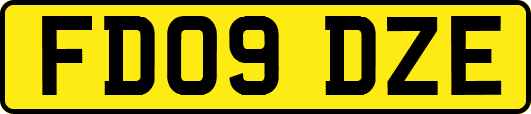 FD09DZE