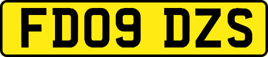 FD09DZS